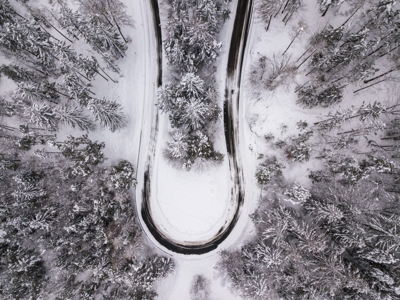 negative-space-winding-road-through-winter-forest